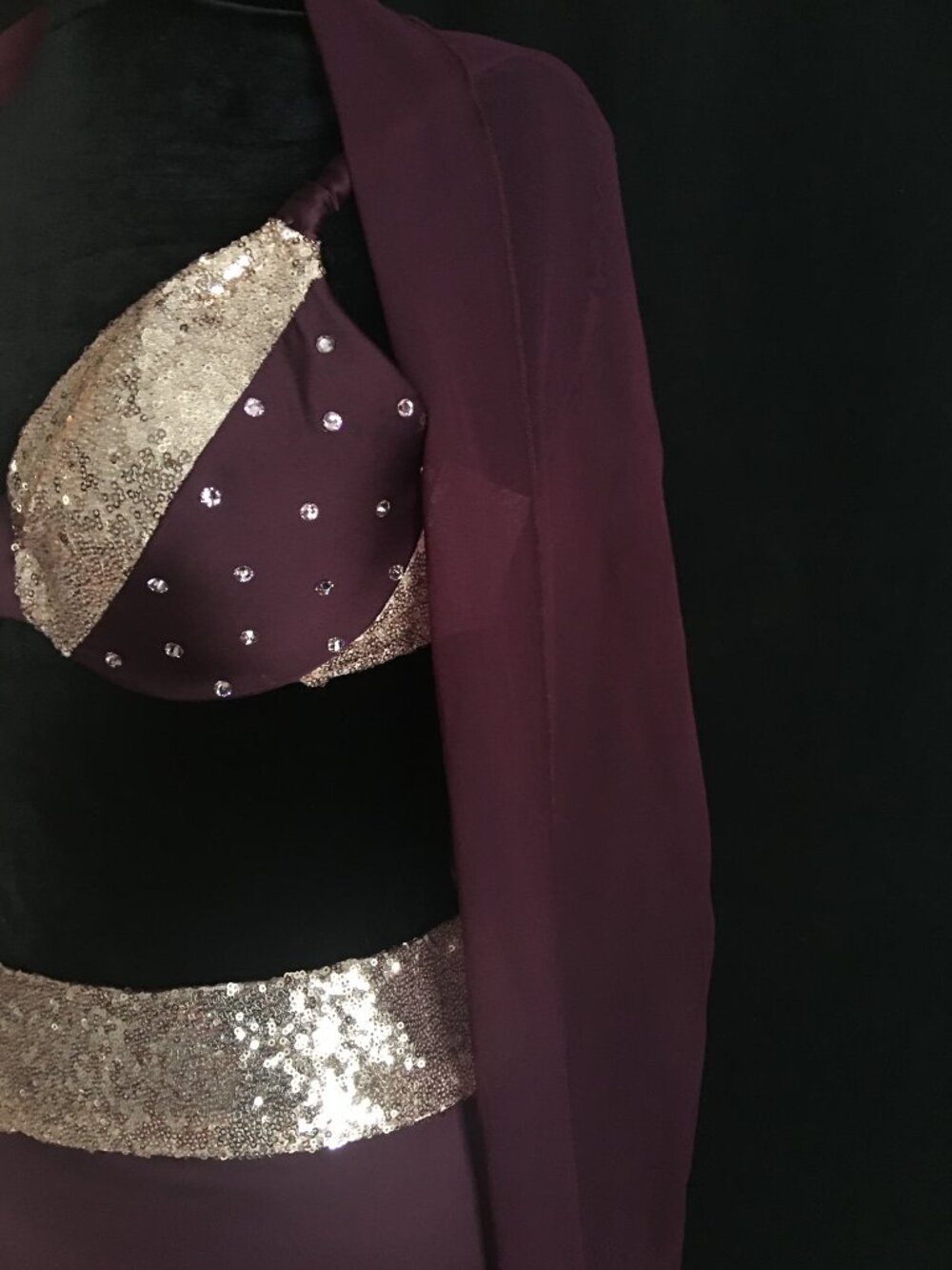 Halloween Belly Dance Costume - image 4